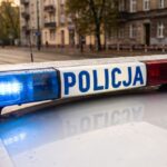 z--odziej-z-19-zarzutami-w-r--kach-policji---czeka-auto-11507