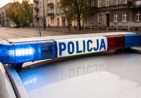 z--odziej-z-19-zarzutami-w-r--kach-policji---czeka-auto-11507