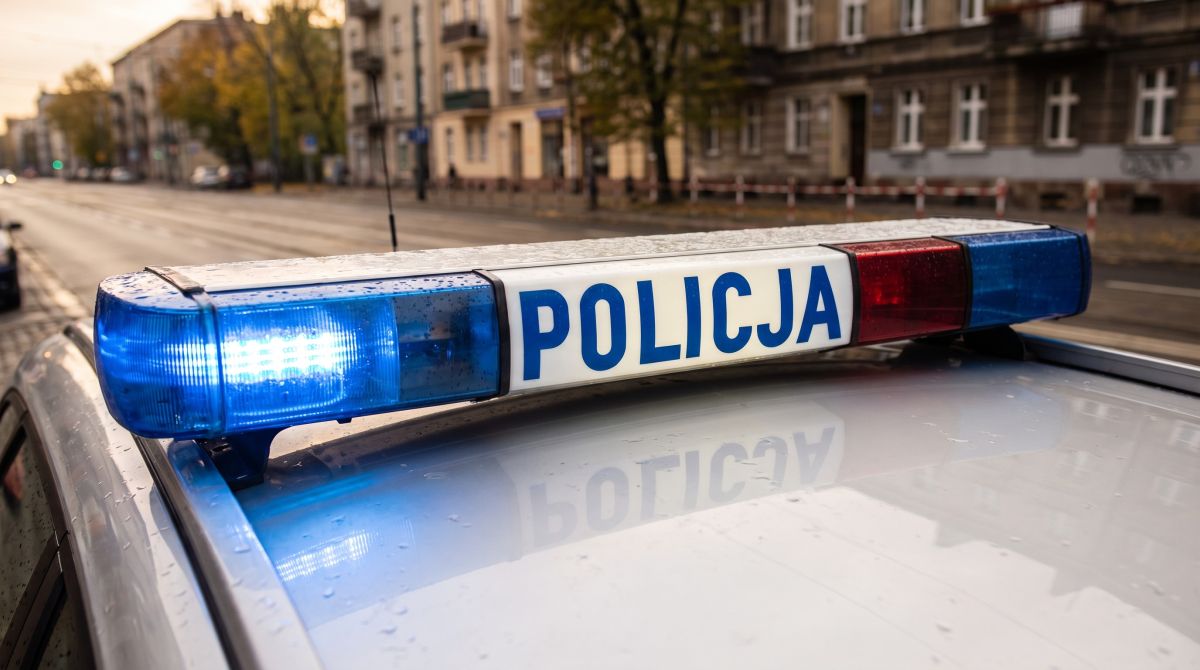 z--odziej-z-19-zarzutami-w-r--kach-policji---czeka-auto-11507