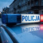 zwierz--ta-potrzebuj---naszej-opieki-----porzuceni-auto-11529